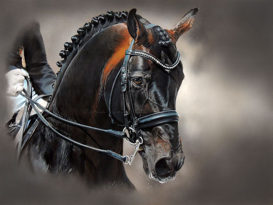 Pferdeportrait von Damsey FRH, gemalt in Pastell, Freie Arbeit im Format 60 x 80cm. Zu Verkaufen | For Sale