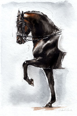 Dressur Pferd in der Piaffe, gemalt in Aquarell. Format 20 x 30 cm.
