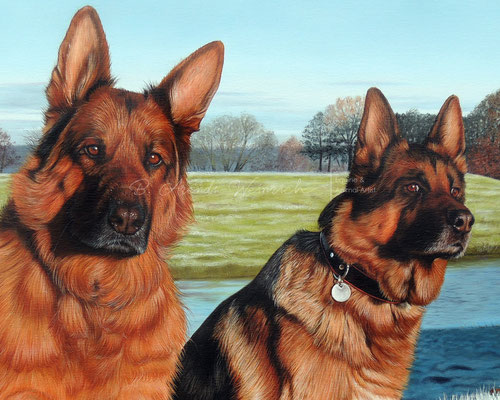 Hundeportraits Deutsche Schäferhunde gemalt in Öl auf Leinwand. Auftragsarbeit Format 120 cm x 90 cm. 