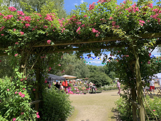 Garten Sendungen Im Tv Und Web Scharnweber Garten Und