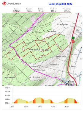 Le 25 juillet 2022, BUREY LA CÔTE, Forêt