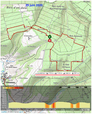 Le 29 juin 2020 La Forêt de GIBEAUMEIX