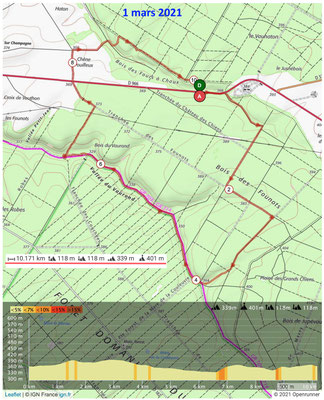 Le 1er mars 2021 , les jonquilles en forêt de GONDRECOURT et AMANTY