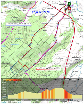 Le 27 juillet 2020, Forêt de TAILLANCOURT