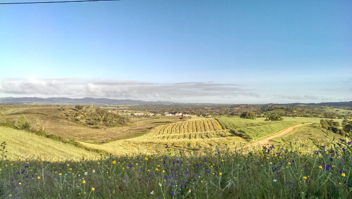 Monte da Estrada