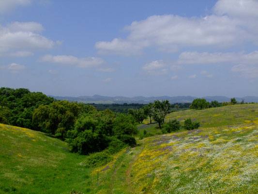 Alentejo