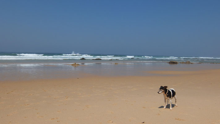 Praia de Malhao