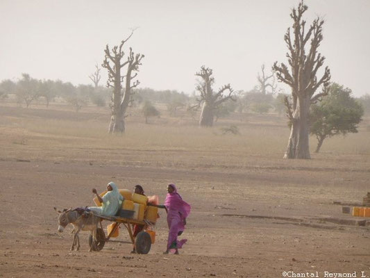 Femmes mauritanniennes - Mauritanie