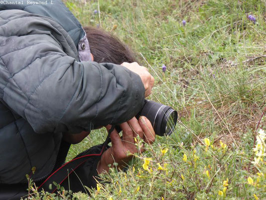 photographe qui réalise la photo d'une fleur