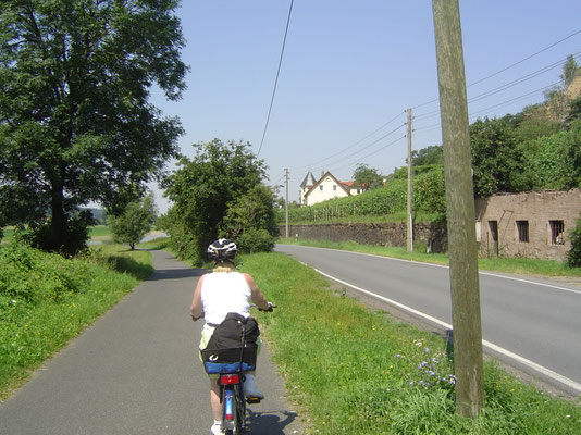 Hinter Meißen gibt es im Durchbruchstal noch viele Weinberge und entsprechend viele Weinschenken.