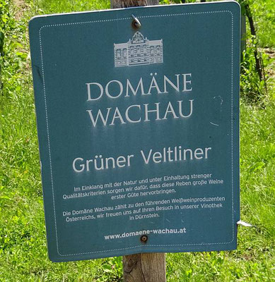 In der Wachau