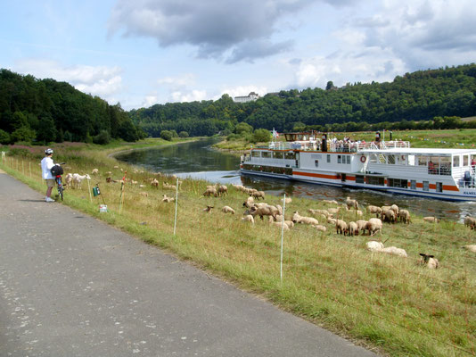 Unterwegs an der Weser