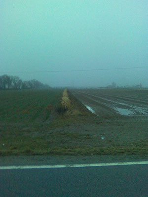 links hakenpflug rechts konventionel