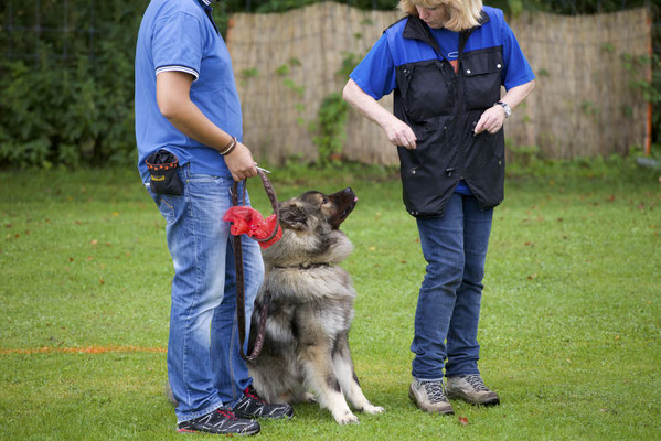 Erziehungskurs © Hundeschule gooddog