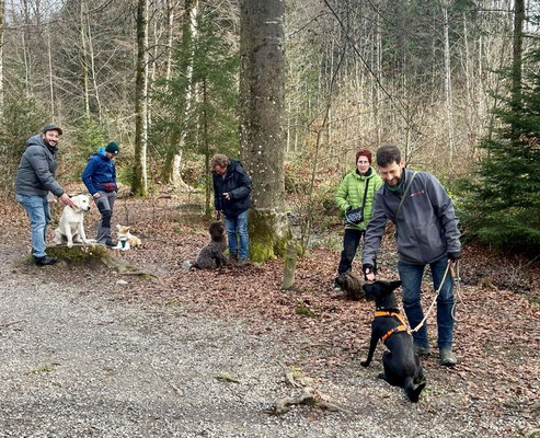 Lernspaziergänge © Hundeschule gooddog