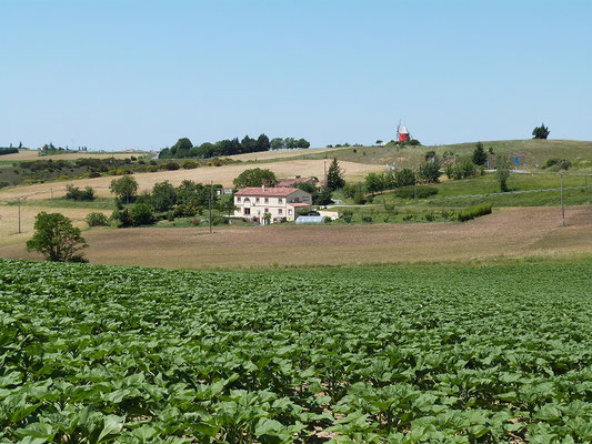 vue panoramique des Gites des Camparros à Nailloux