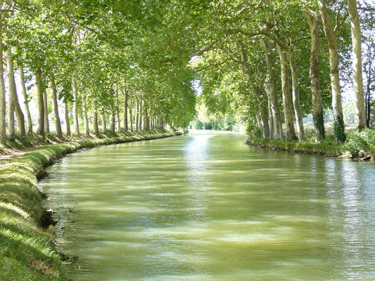 Gites des Camparros à Nailloux : canal du Midi