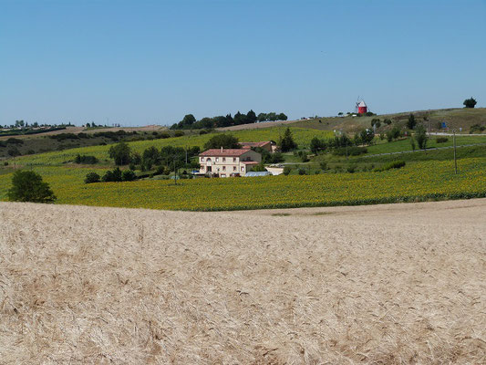 vue panoramique des Gites des Camparros à Nailloux