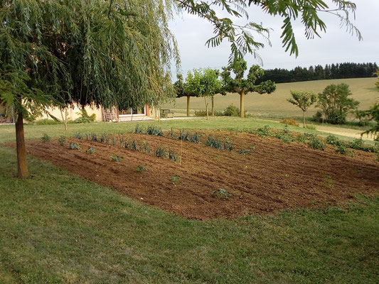 le potager et le saule pleureur aux Gites des Camparros à Nailloux