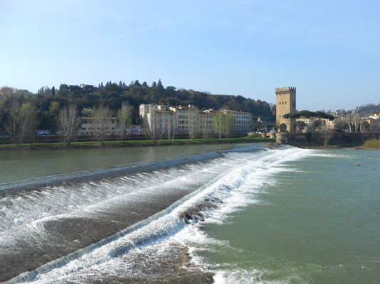 The "Arno river," as they called the area along the Arno river, are a luxury area with a large park that allows long walks. There are bars and restaurants; in summer there are festivals and outdoor dining areas where you can buy and grilled food. 