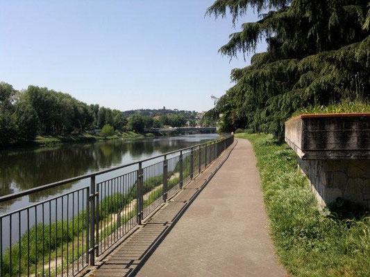 The "Arno river," as they called the area along the Arno river, are a luxury area with a large park that allows long walks. There are bars and restaurants; in summer there are festivals and outdoor dining areas where you can buy and grilled food. 