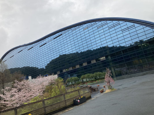 風景を取り込む壁面