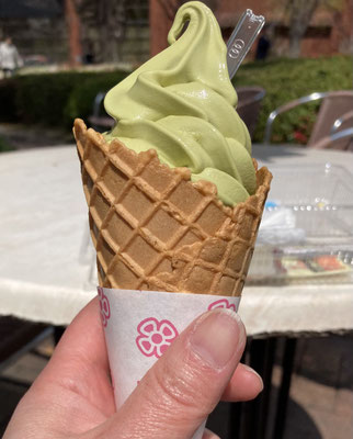 石橋文化センターの公園内にある売店でホットドックと八女茶ソフトを食べ、次の目的地へ
