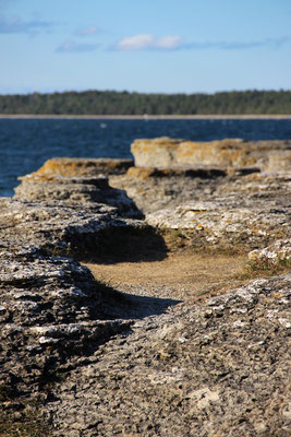 Byrums Raukar, le plus grand site de piliers de calcaire de l'île.