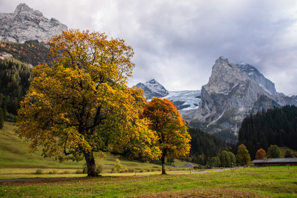 Bern_37