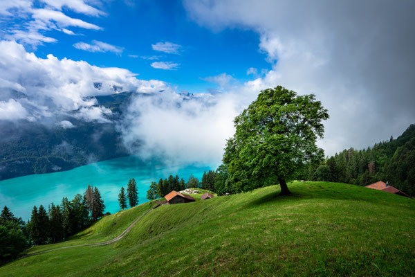 Bern_20