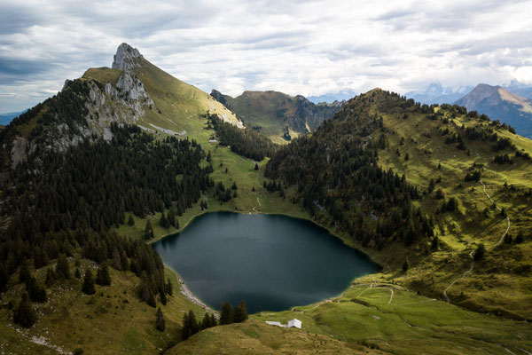 Bern_29