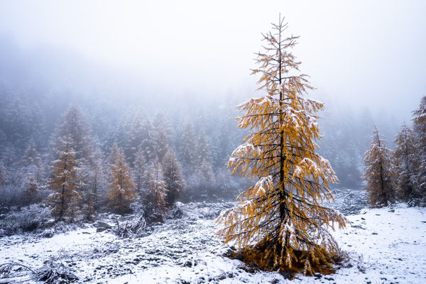 Graubünden_47