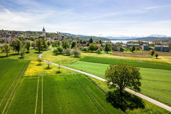 Nordschweiz_10