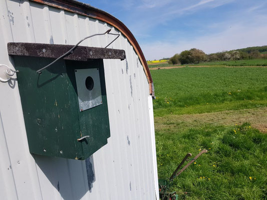 Mietwohnung im Grünen, ökologische Nahrungsmittel in unmittelbarer Nähe ...