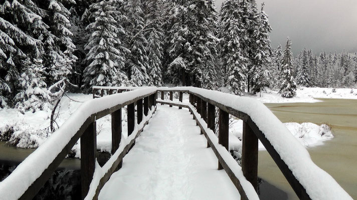 Der Fichtelsee bei Fichtelberg