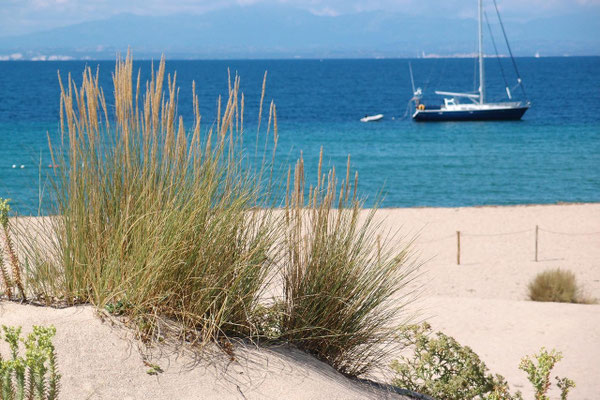 Le Dune