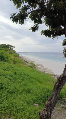 West Sumba land for sale