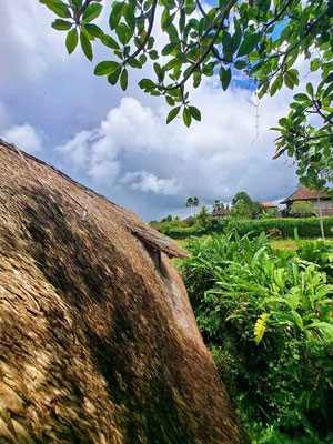 Penestanan real estate for sale