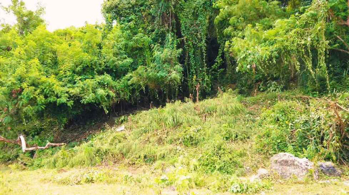 South Sumba land for sale