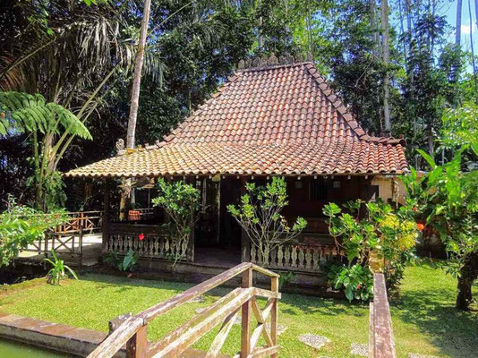 Ubud property for sale