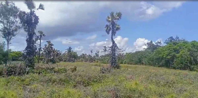 East Sumba property for sale