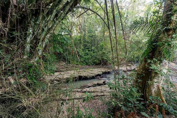Tabanan real estate for sale