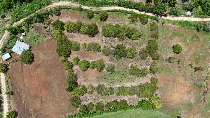 Sumba property for sale