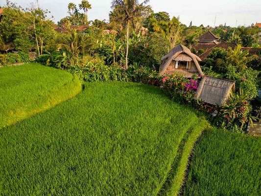 Penestanan house for sale