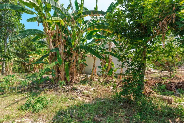 North Bali real estate for sale