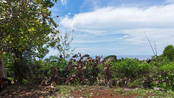 Sumba property for sale