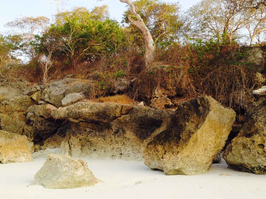 West Sumba land for sale. For sale by owner
