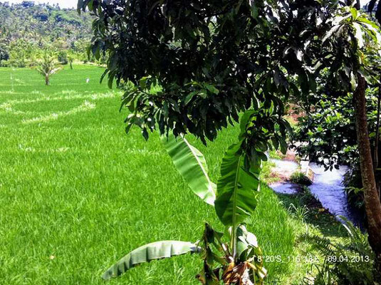 North Lombok land for sale