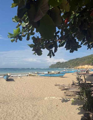 Sumba land for sale