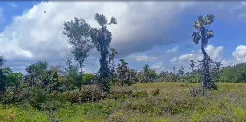 East Sumba property for sale